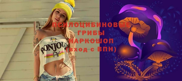соль курить ск Богданович